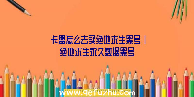 「卡盟怎么去买绝地求生黑号」|绝地求生永久数据黑号
